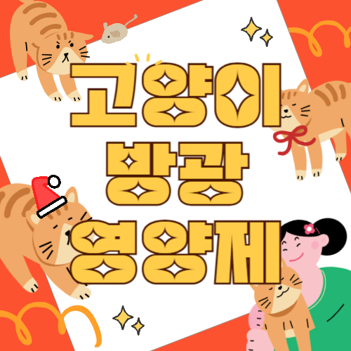 고양이 방광염 영양제 추천