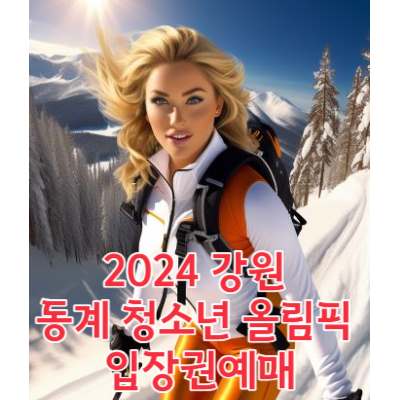 2024 강원 동계 청소년 올림픽 입장권예매
