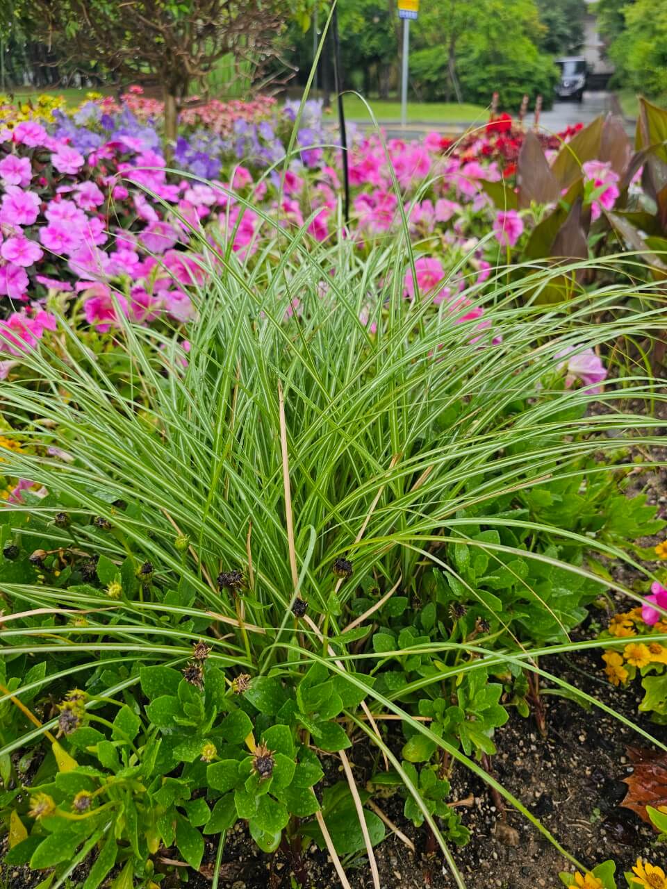 선진국 장애인 의료 접근성 차이