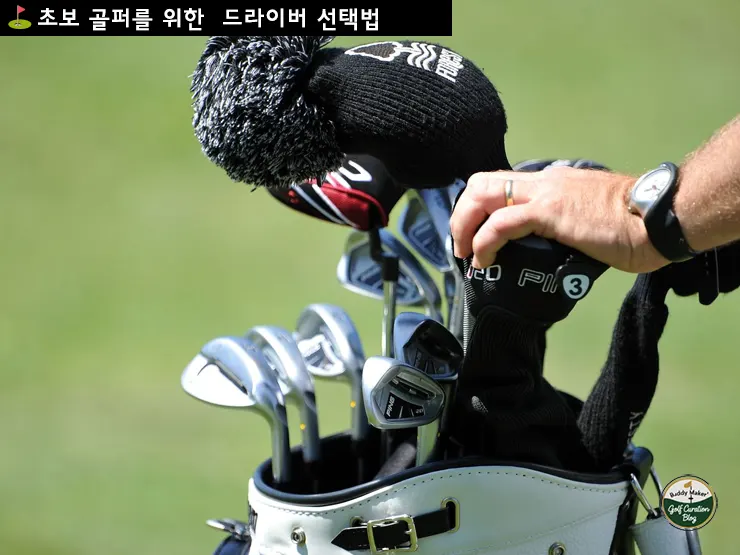 초보 골퍼를 위한 실패없는 드라이버 선택법