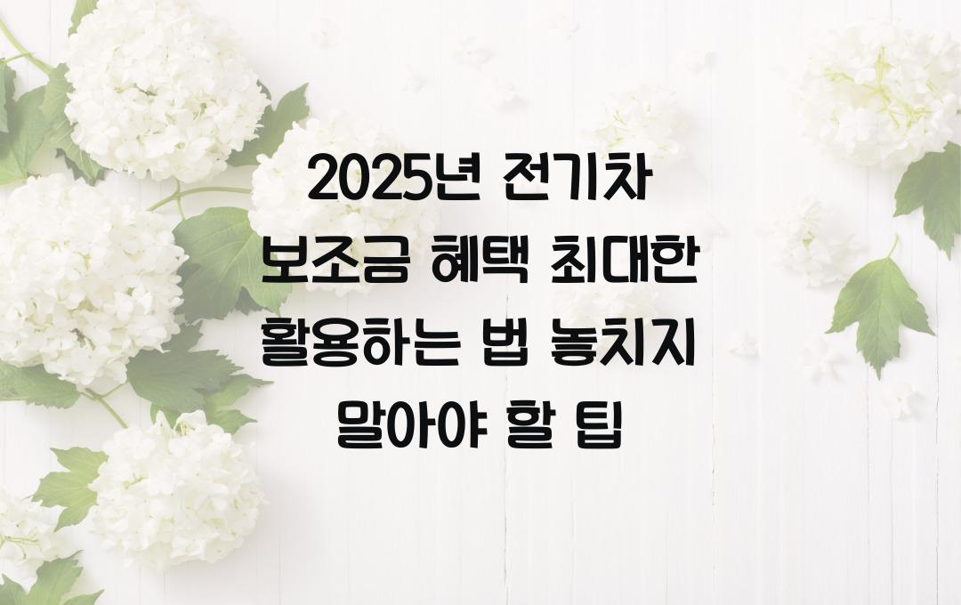 2025년 전기차 보조금 혜택 최대한 활용하는 법