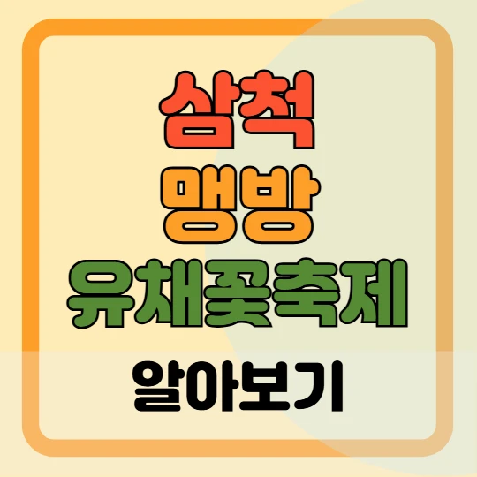 삼척 맹방 유채꽃 축제 프로그램, 주차장 및 교통 총정리(+주변 관광 명소)