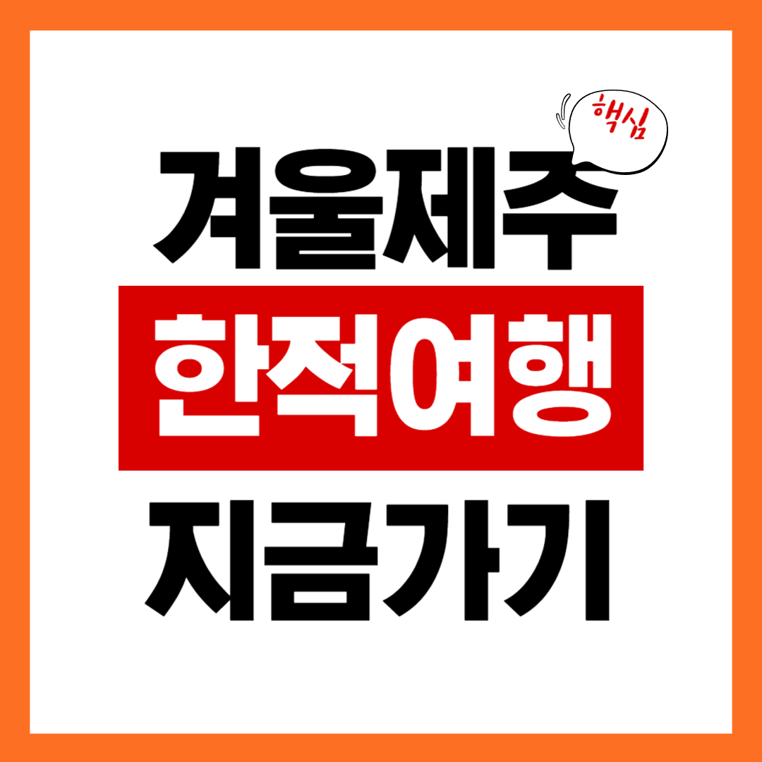 제주 겨울 여행 코스 BEST 7