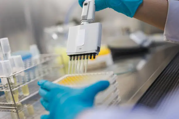 CDMO 관련주 수혜주