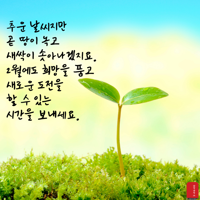 2월 인사말 문구 이미지 모음집