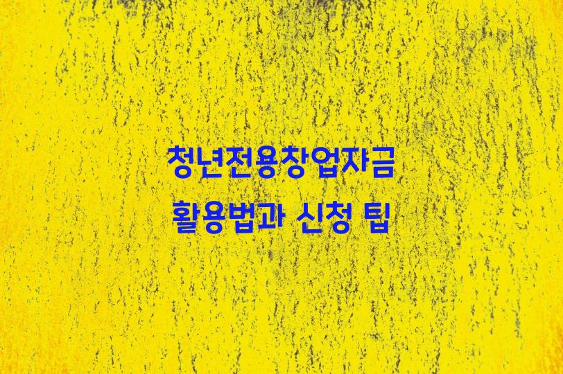 청년전용창업자금