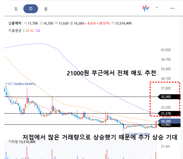 신풍제약 주봉차트