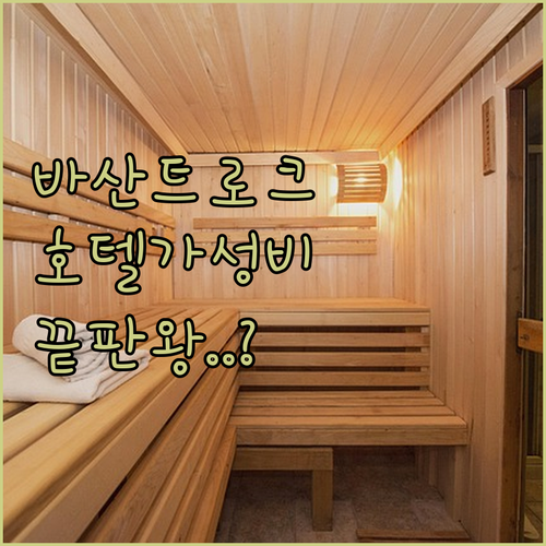 뉴델리 여행 바산트 로크 마켓 근처 ..