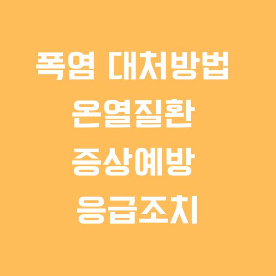 폭염 대처방법 온열질환 증상 예방 응급조치