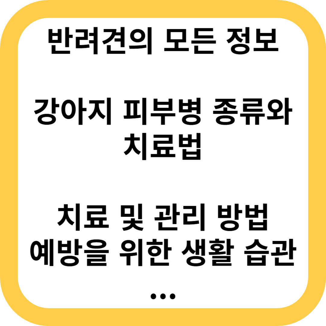 강아지 피부병 종류와 치료법