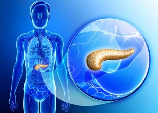 췌장의 역할 췌장암 검사 췌장암 검사종류 췌장암 검사방법