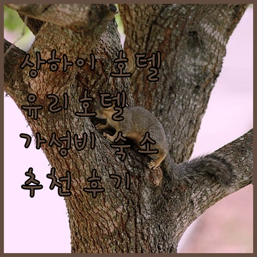 상하이 유리호텔 숙박 후기 가성비 호..