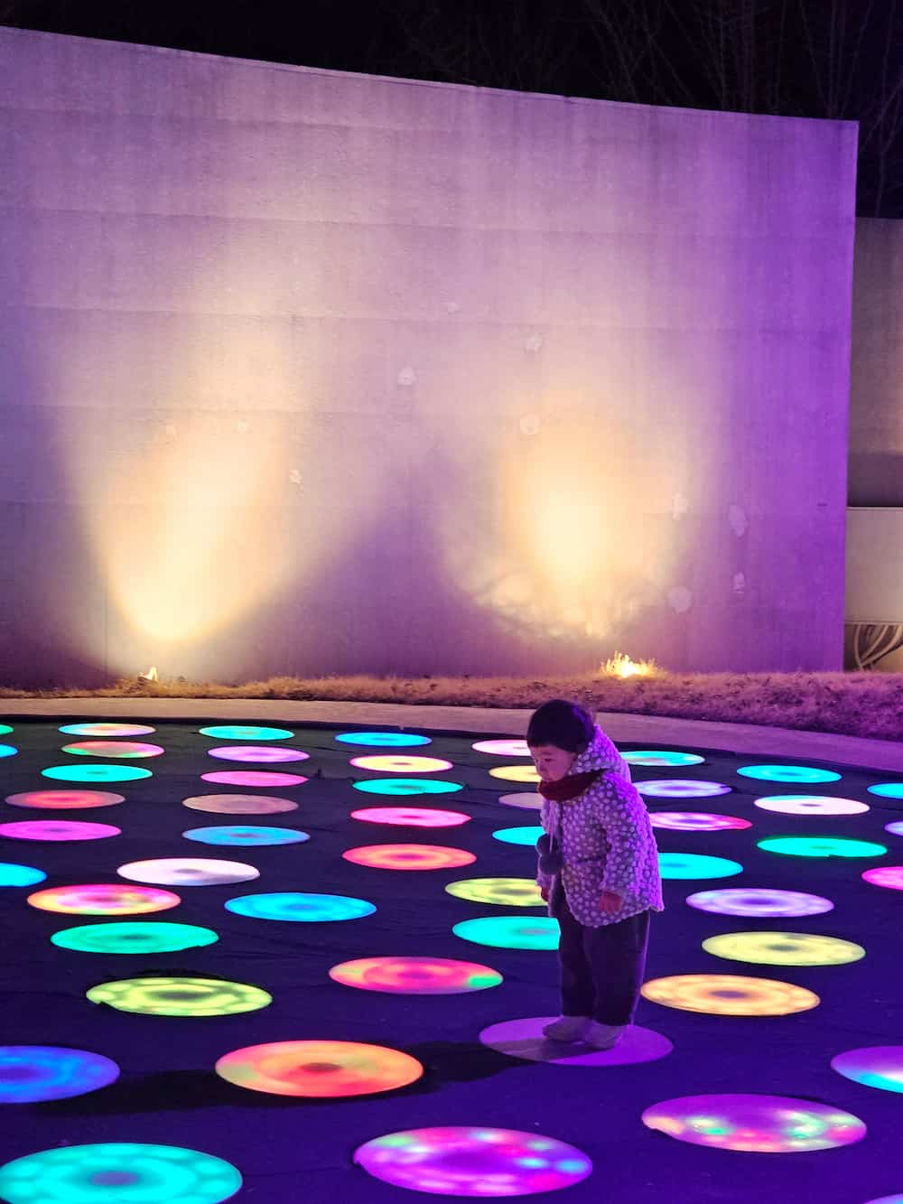 별빛정원우주 85