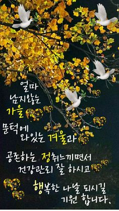 가을이미지