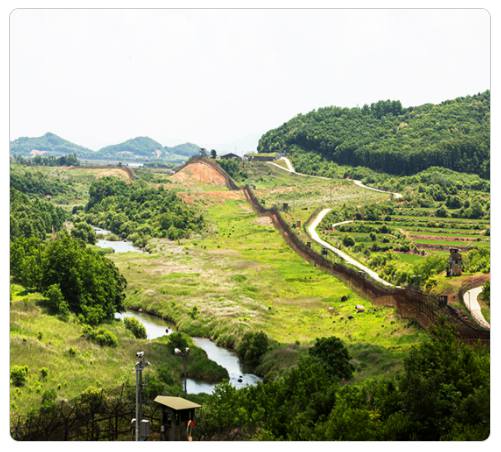 강원 세계산림엑스포