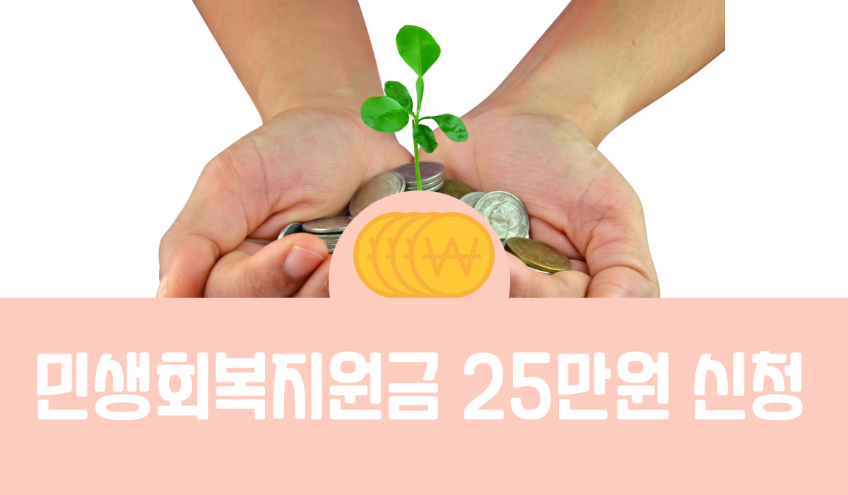 민생회복지원금 25만원
