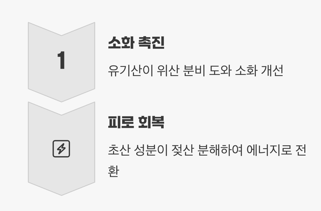 속 편한 하루, 피로를 씻어내는 활력소