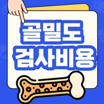 골밀도 검사 수치 골밀도 높이는 방법 간단 정리_5