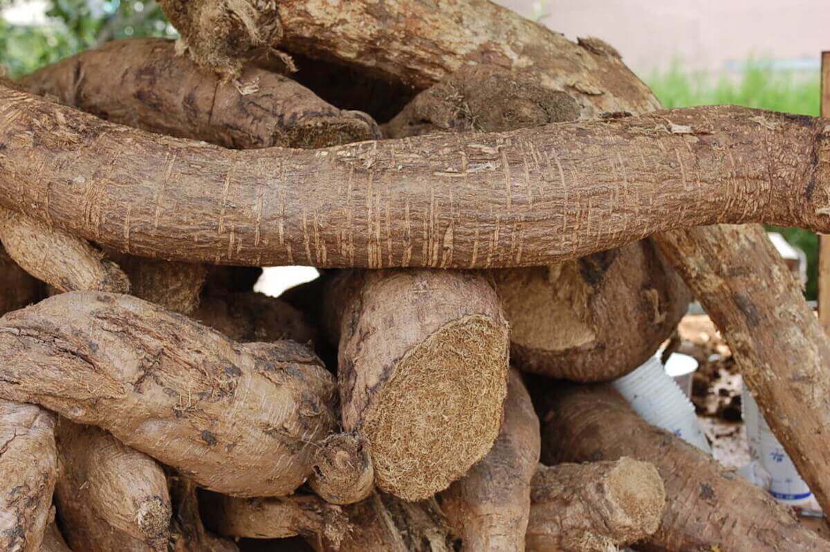 칡즙-효능-여성-갱년기-개선