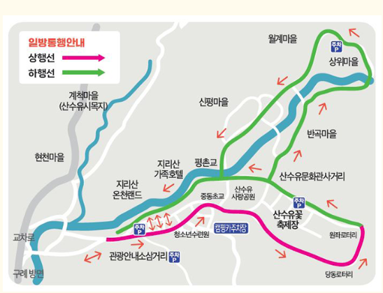 구례 산수유꽃 축제기간