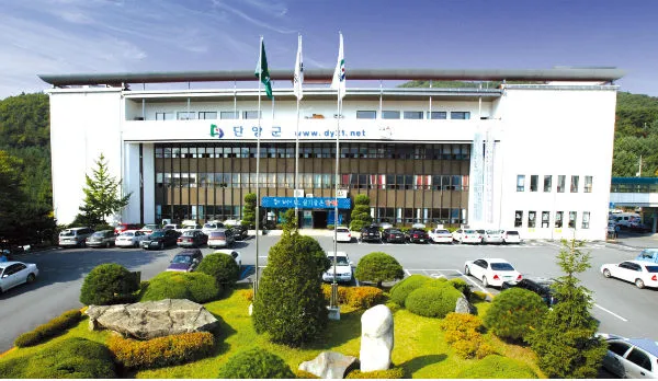 단양군-무료-교통카드-발급