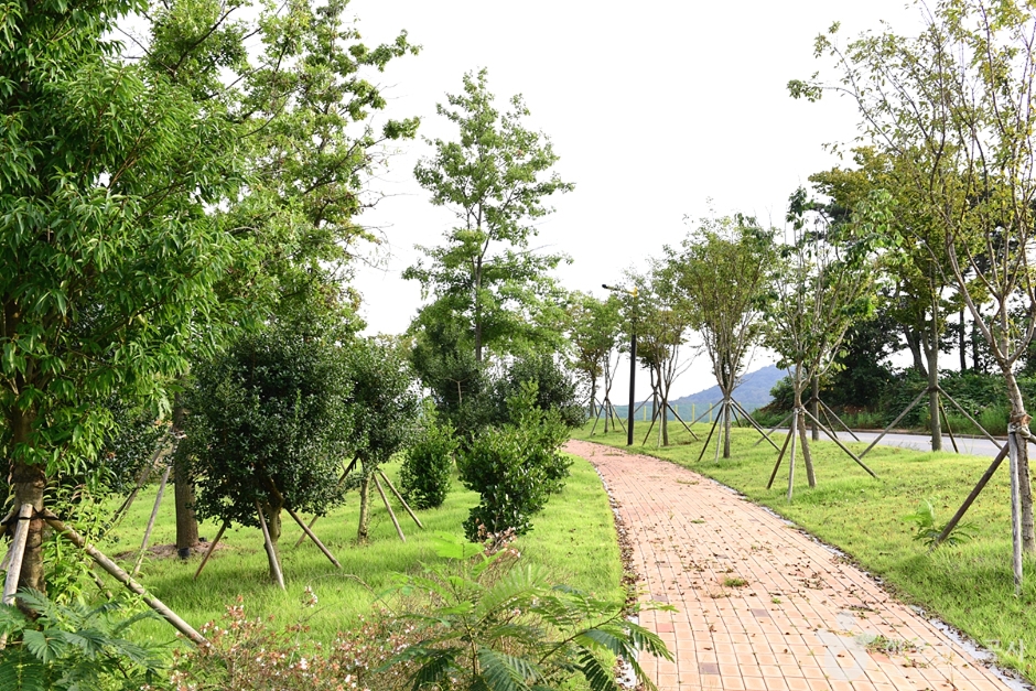 장성 가볼만한곳 베스트 10