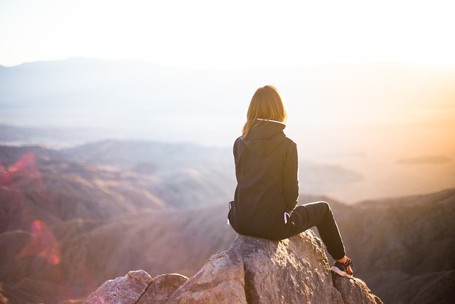 정부직접일자리 산림 일자리 