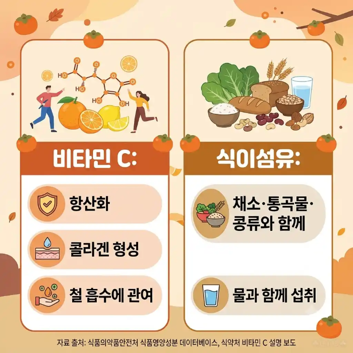 단감 비타민 C 식이섬유 역할 범위 구분