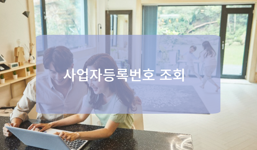 사업자등록번호 조회