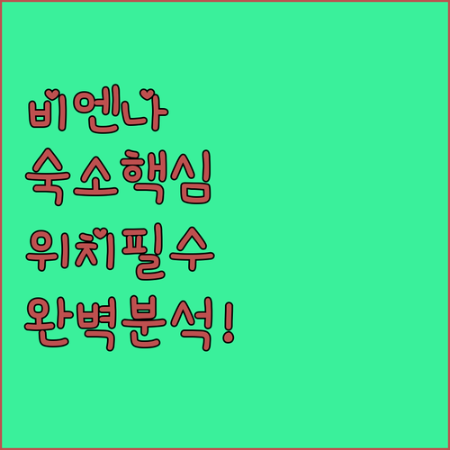 비엔나 호텔 5곳 위치 장점 완벽 비..