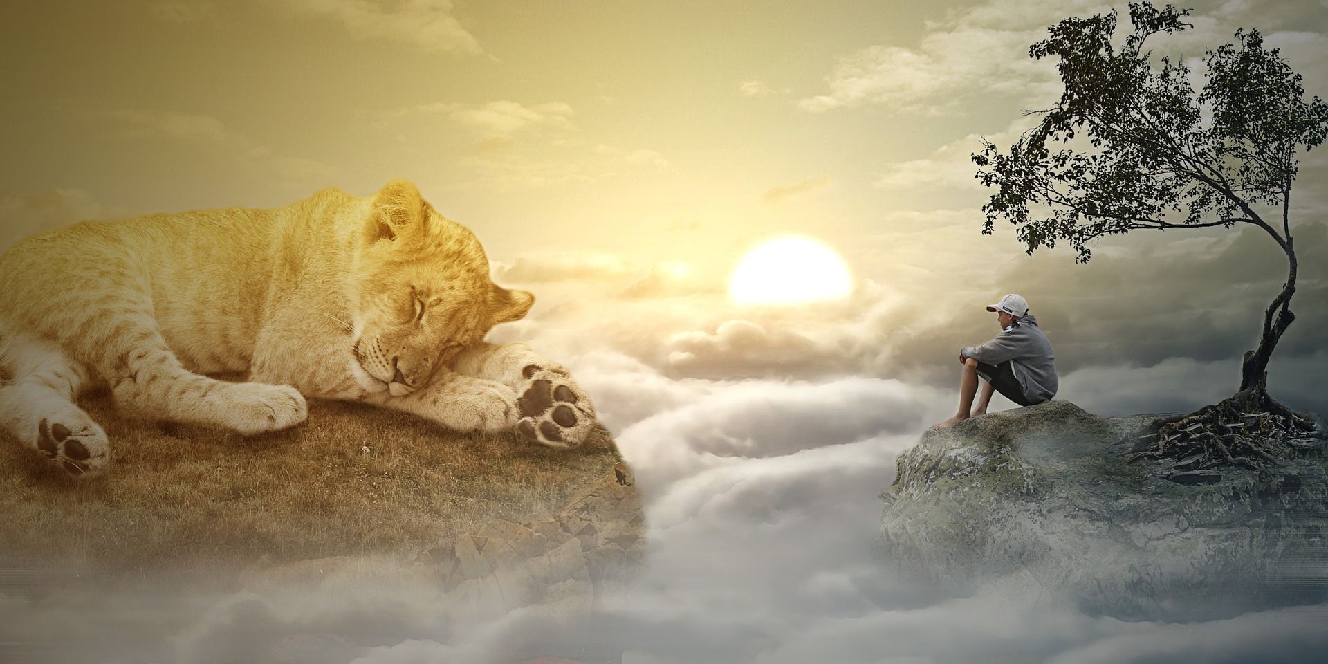 아기사자가 고요하게 자는 사진과 산꼭대기에서 구름아래를 바라보며 생각에 잠긴 모자 쓴 사람 모습
