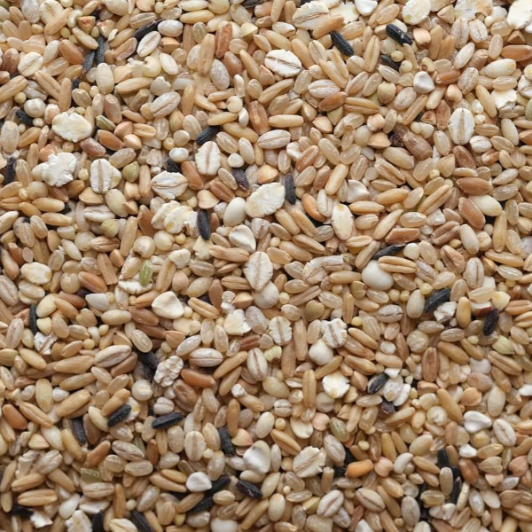 콜레스테롤 낮추는 음식 사진 4