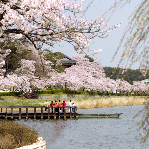 강릉 5일장(오일장) 장날 먹거리 여행코스