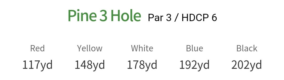 솔모로 컨트리클럽 파인코스 3