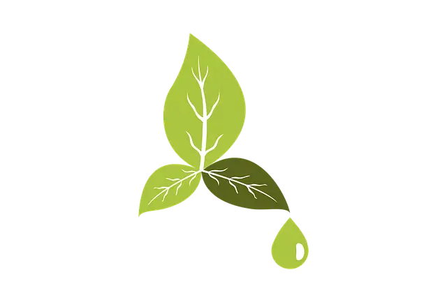 친환경 결혼식 & 돌잔치 트렌드: 지속 가능한 이벤트 문화