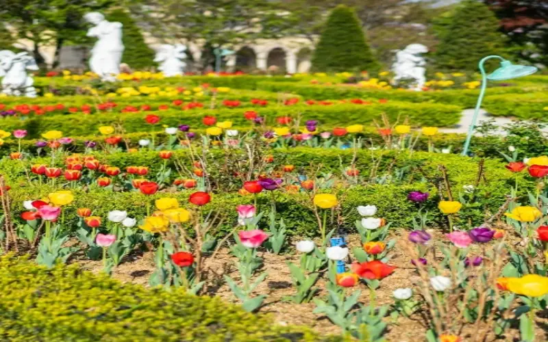 퍼스트가든 봄꽃축제 블루밍가든_8