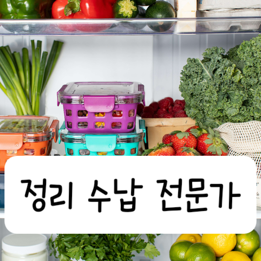 정리수납 전문가