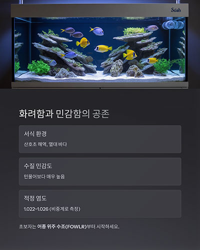 화려함과 민감함의 공존