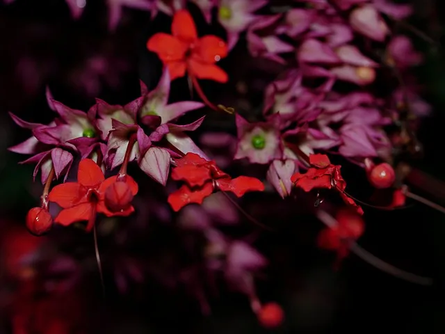 상생누리 누리집 홈페이지 바로가기wwwwinwinnurikr로 이용안내_5