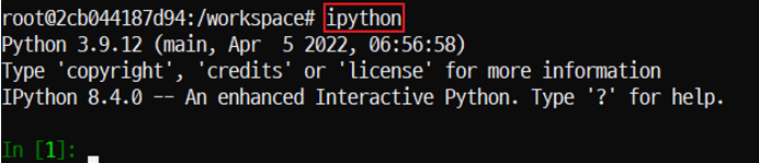 ipython 입력