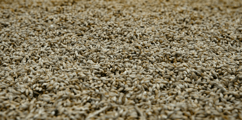 버번위스키-입문용-메이커스마크-버팔로트레이스-와일드터키-메시빌