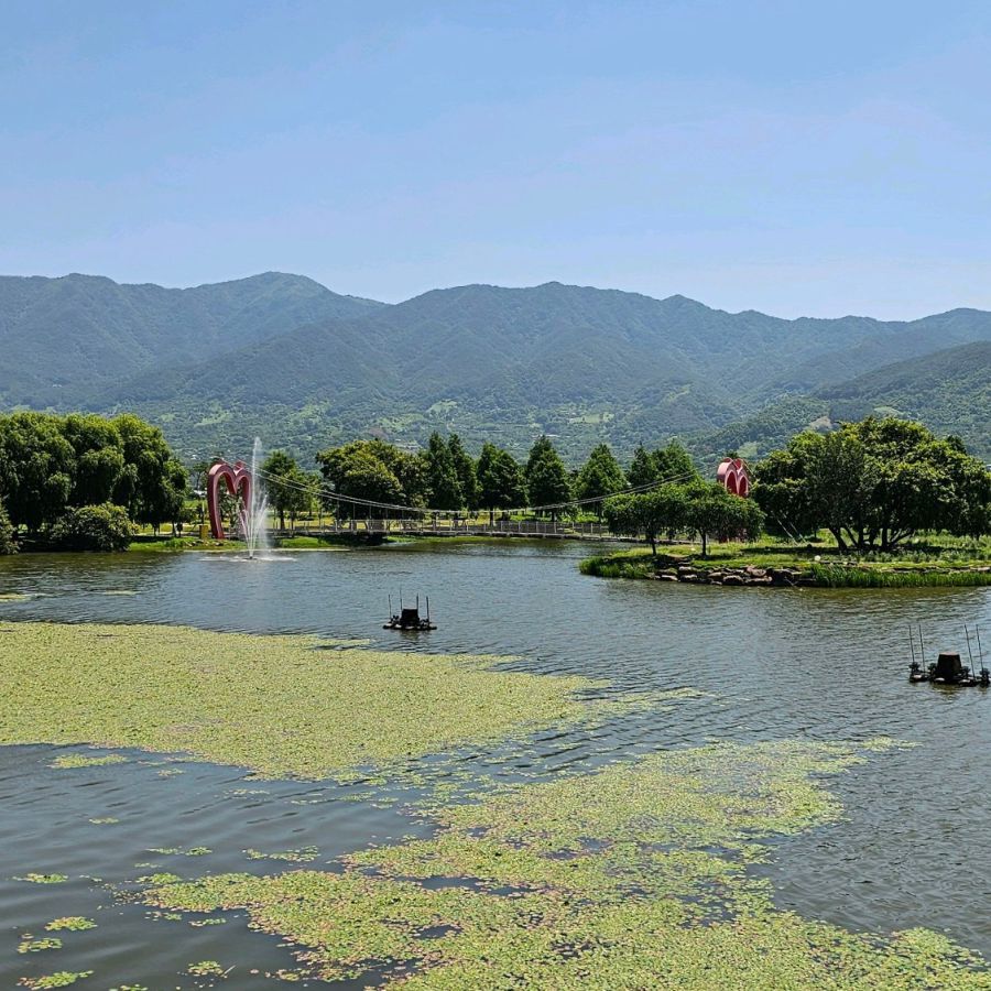 동정호