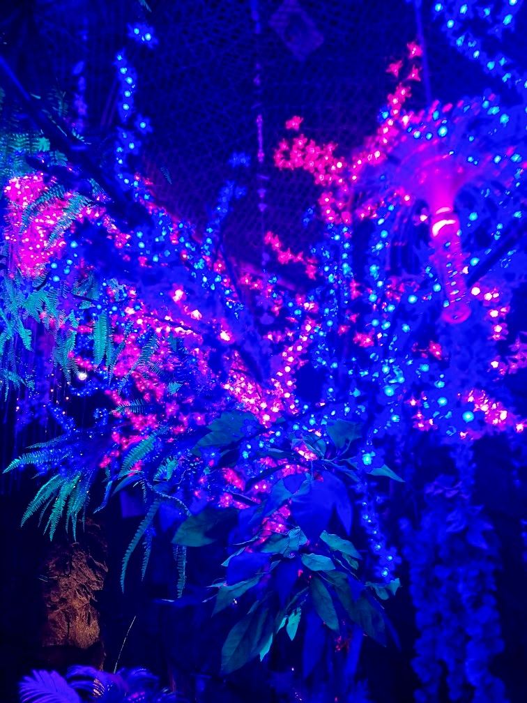 경기도 광명동굴: 동굴 내부, 공룡탐험전, 입장료 및 할인, 주변 맛집 할인