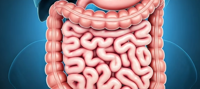 과민성 대장 증후군 완화