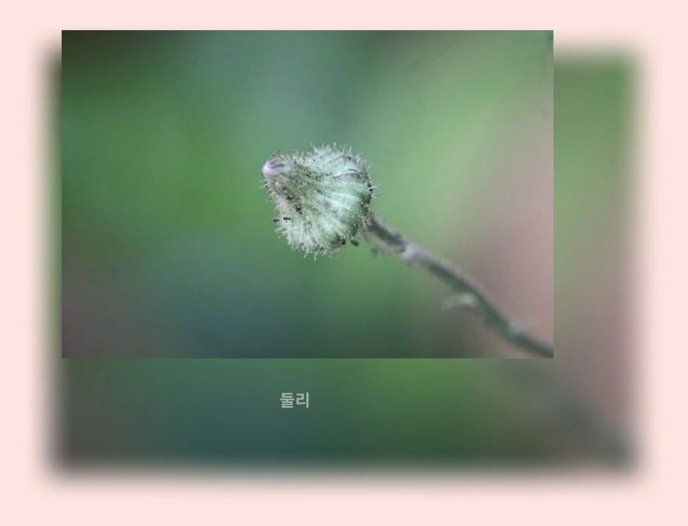잠재력 발휘_2_subsection