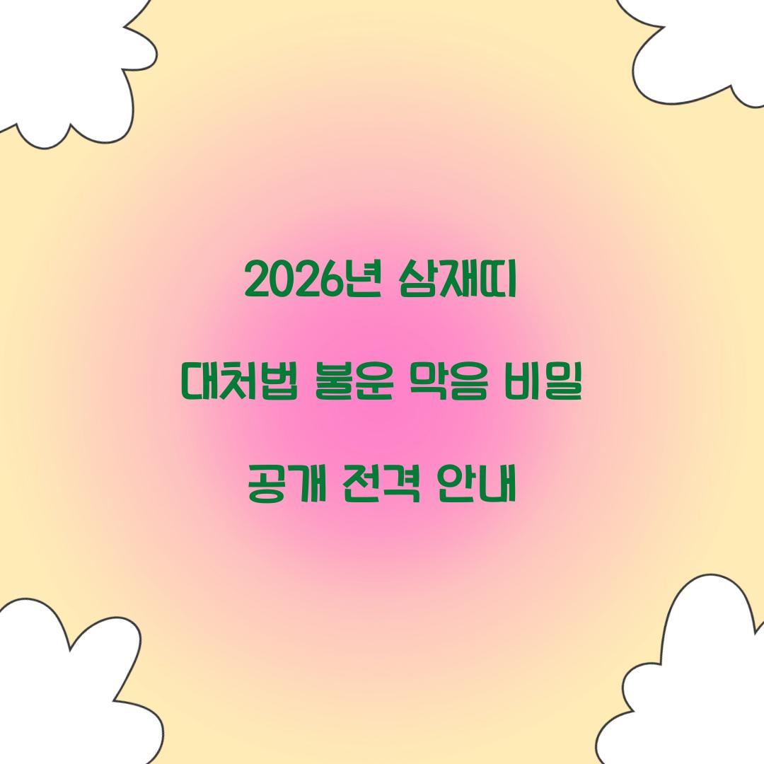 2026년 삼재띠