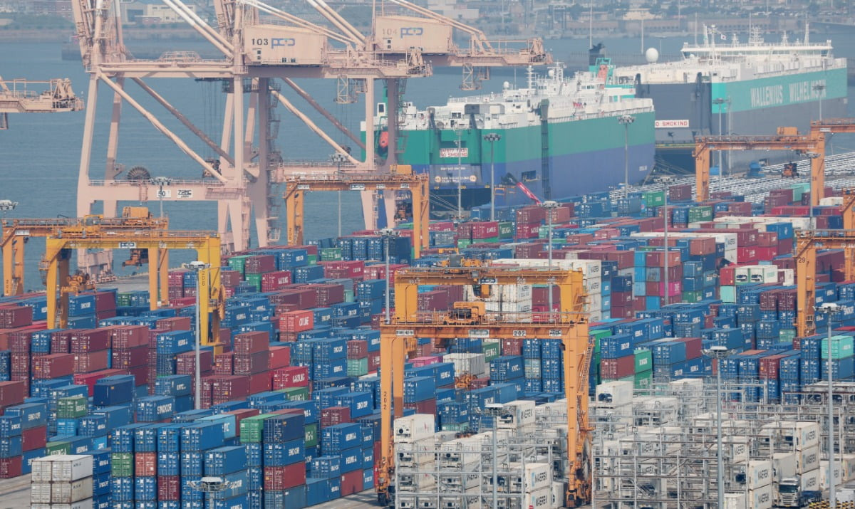 1년째 '제로 성장'…"총체적 위기 국면"
한국 1분기 성장률 -0.2% '역성장 쇼크'
최악 건설 불황·산불…외환위기·코로나 때도 없던 수치
투자·소비·수출 마이너스 "경제 회복력 잃어가고 있다"