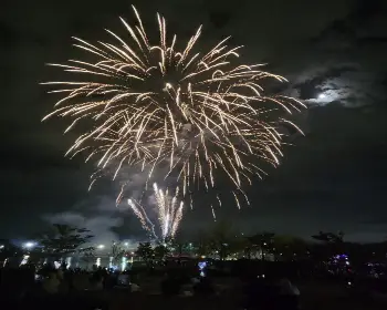 세종 축제 불꽃놀이_2