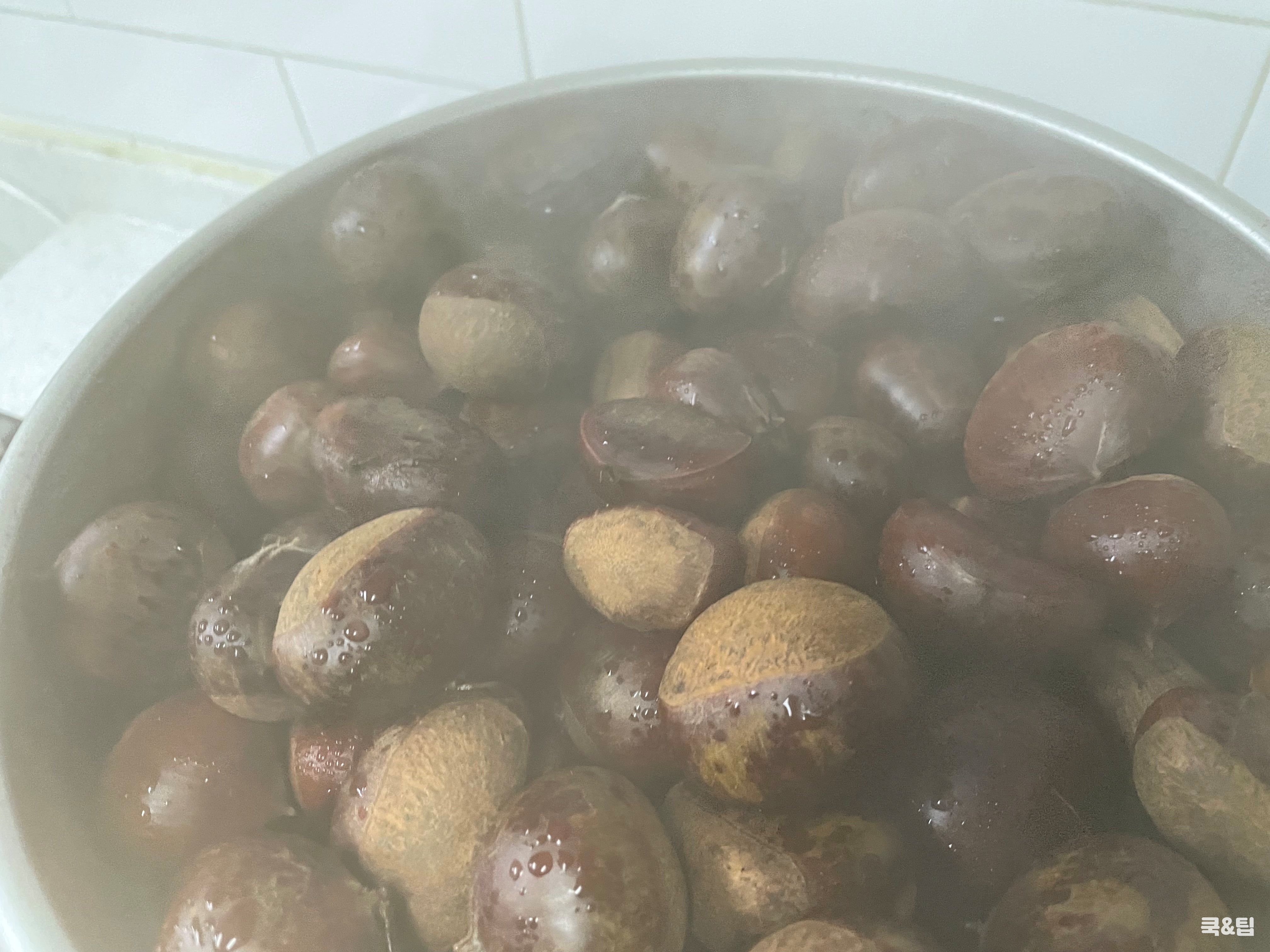 수증기 속의 밤