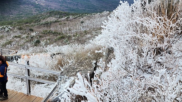 금정산 고당봉 상고데